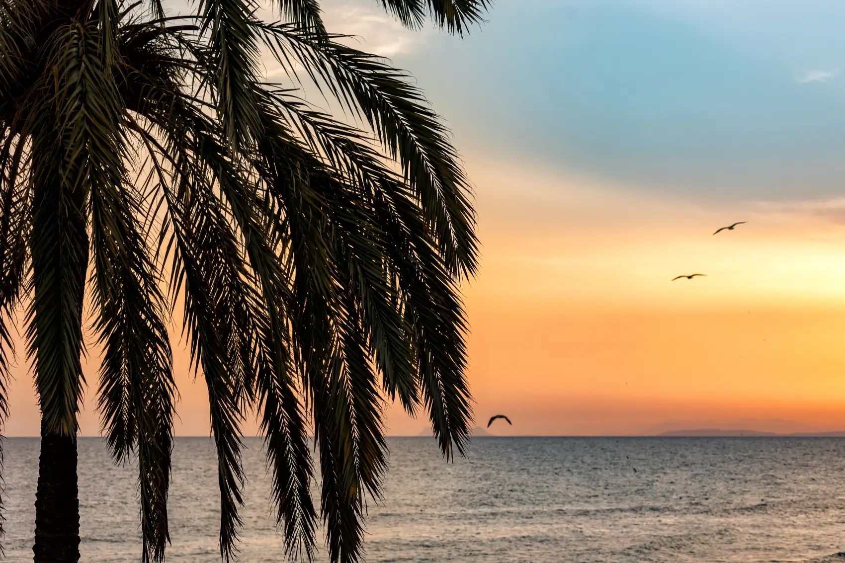 Marbella property market